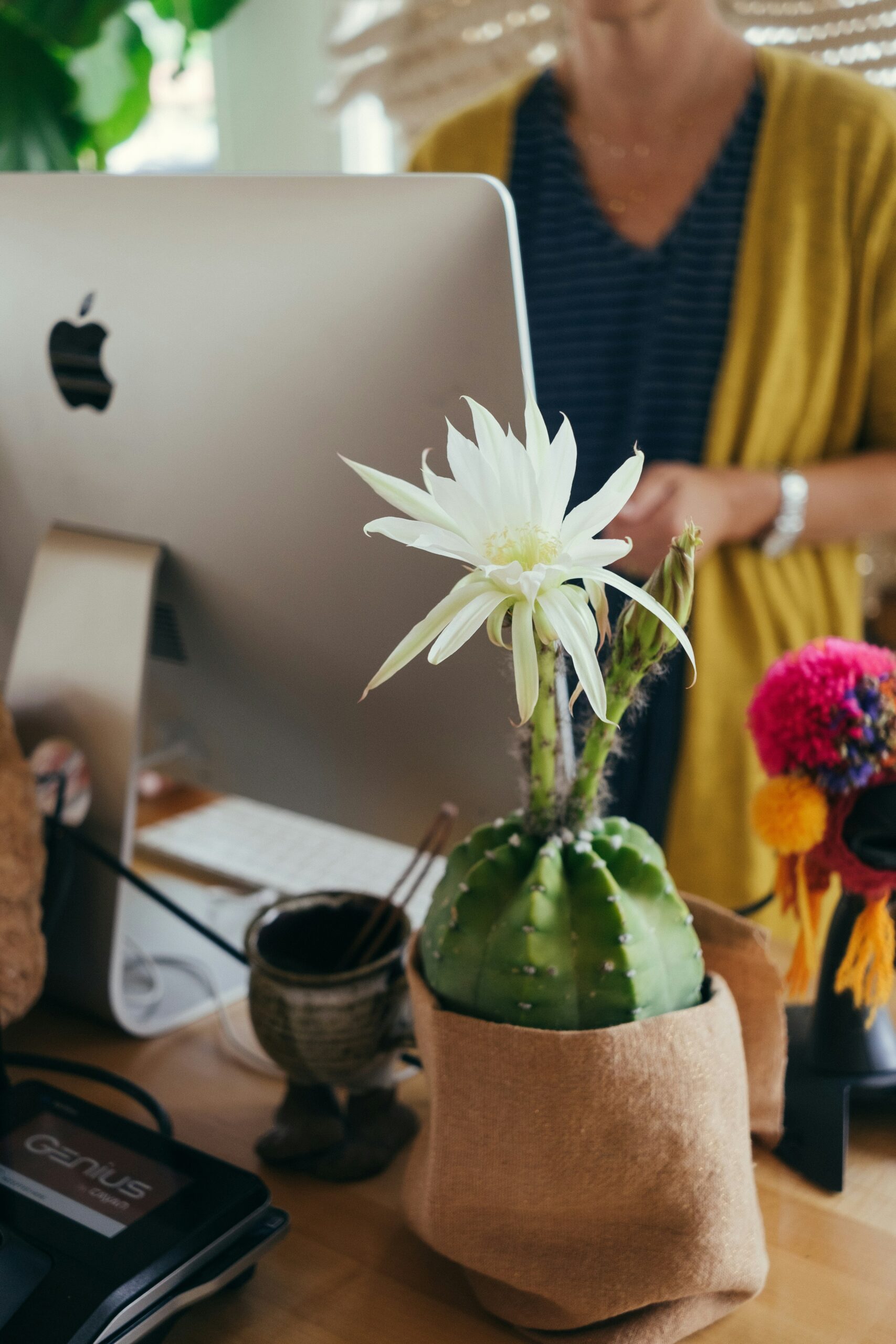 photo of a computer, some plants and partial view of desk and business owner